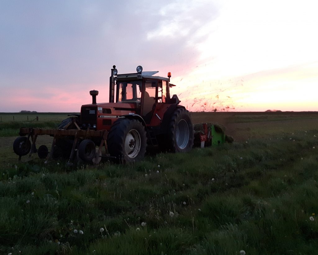 Biologische onkruidbestrijding