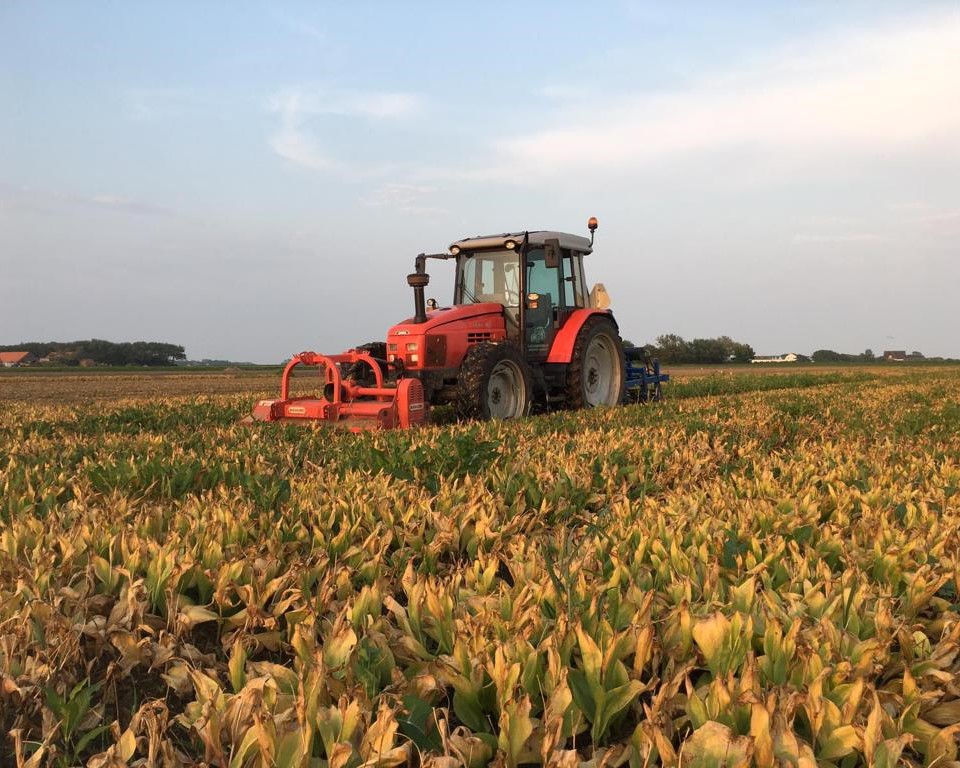 WhatsApp Image 2021-06-30 at 22.34.17